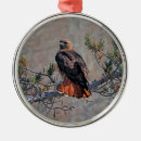 Search for red tail hawk christmas tree decorations Bird
