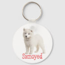 Search for samoyed dog key rings Puppies
