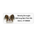 Search for brown white dog return address labels Puppy