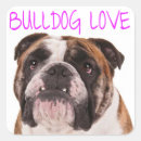 Search for english bulldog stickers Puppies