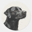 Search for cute labrador stickers Black