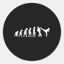 Search for life master stickers Karate