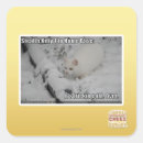 Search for stealth stickers I can has cheezburger