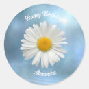 Search for white daisy stickers Birthday