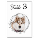 Search for dogs table cards Unique