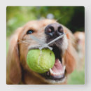 Search for tennis clocks Cute