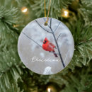 Search for bird christmas tree decorations Snow