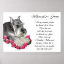 Search for miniature schnauzer art Pets