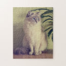 Search for ragdoll cats puzzles Blue