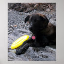 Search for black lab retriever dog posters Retrievers