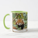 Search for red panda mugs Photography