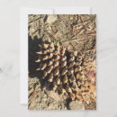 Search for pinecone cards Nature