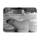 Search for alaska state cards Usa