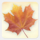 Search for gold maple leaf stickers Red