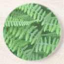 Search for green fern coasters Floral