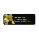 Search for frangipani flowers return address labels Yellow
