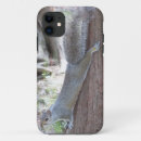 Search for squirrel iphone cases Tree