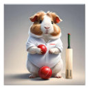 Search for cricket sport posters Player