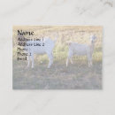 Search for friend business cards Cute