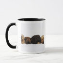 Search for pekingese dog mugs Cute