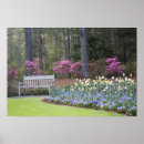 Search for nature border posters Plant
