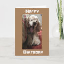 Search for across the miles birthday cards Friend