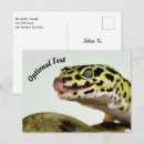 Search for leopard spots postcards Nature
