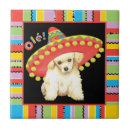 Search for fiesta tiles Cinco de mayo