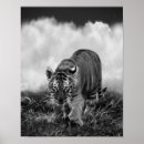 Search for stalk posters Nature