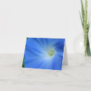 Search for morning glory cards Flower