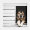 Search for dog portrait magnets Horizontal