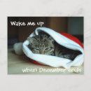 Search for grumpy christmas cards Cats