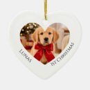 Search for retriever christmas tree decorations Dog's first christmas