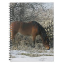 Search for wild one notebooks Mustang