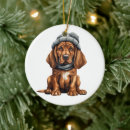 Search for bloodhound christmas tree decorations Pet