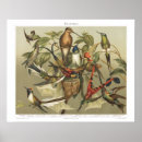 Search for sage art Illustration