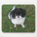 Search for chin electronics Dog