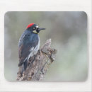 Search for acorns mousepads Wildlife