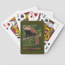 Search for panda playing cards China