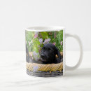 Search for black labrador retriever mugs Puppy