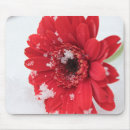Search for red gerbera mousepads Flower
