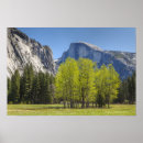 Search for half and half posters Travel