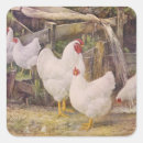 Search for vintage rooster stickers Cute