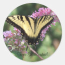 Search for tiger swallowtail stickers Butterfly
