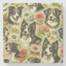 Search for border collie coasters Cute