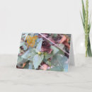 Search for never give up cards Nature