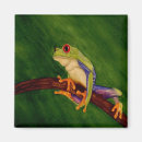 Search for froggy magnets Frogs