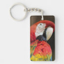 Search for parrot rectangular key rings Wildlife