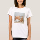 Search for plush clothing Cute