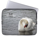 Search for feathered birds electronics Nature